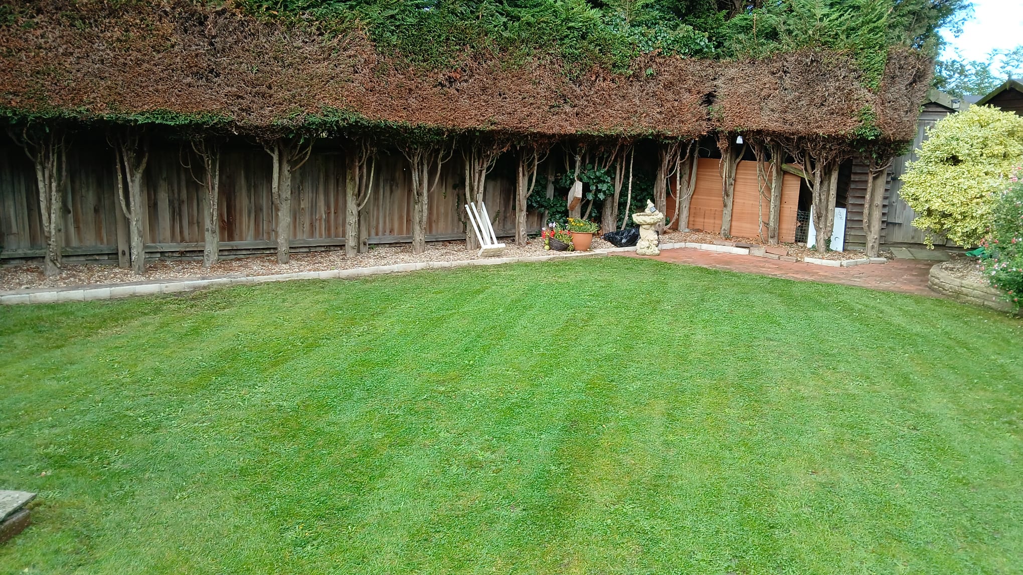 Garden reset and tidy up before renewal in Ipswich