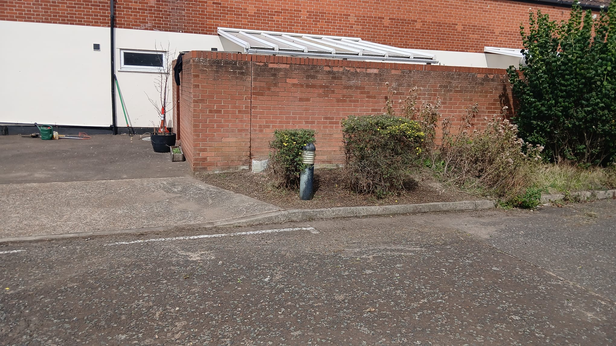 Pruned shrubs and tidy garden plants
